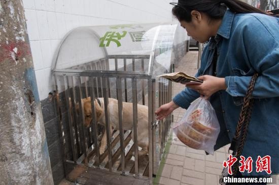 山西太原街头现“狗狗公厕” 提倡文明养犬