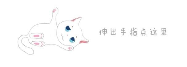 日本网友午睡时突现萌猫，睡完他后又再度消失，网友：谁玩谁？