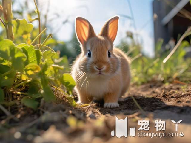 美天灵宠物蓝色港湾店，最适合毛孩洗澡的地方吗?